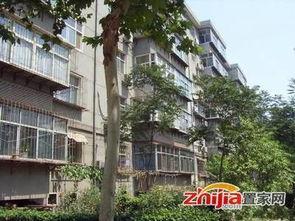 石家庄高柱最新爆料 第2张 石家庄高柱最新爆料 第2张