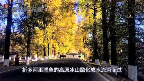 娱乐吃瓜拍摄地,探寻明星足迹的神秘角落 第2张 娱乐吃瓜拍摄地,探寻明星足迹的神秘角落 第2张